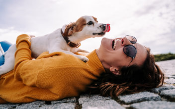 Hund leckt lachender Frau das Gesicht ab