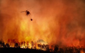 Helikopter beim Löschen eines Waldbrandes