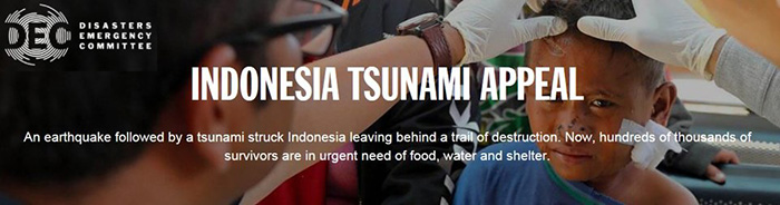 Indonesia Tsunami Appeal